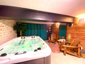 Le Cocon Bohème - parking privé - piscine chauffée - espace bien-être avec Spa